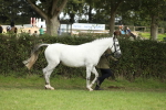 SBM_68539