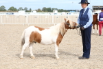 SBM_19069