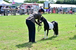 SBM_03575