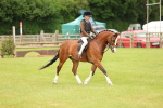 SBM_10220