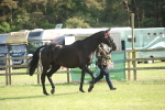 SBM_10404