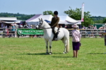 SBM_15379
