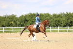 SBM_002004