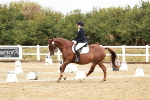 SBM_001304