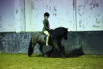 SBM_009338