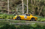 Hillclimb_06-04-2015_CAR-80