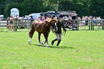 SBM_03877