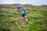 Steel Fell-485
