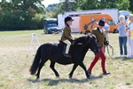 WJ6_7721