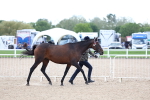 SBM_15362
