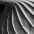 theme 12 week 4: MACRO
