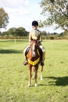 S11 - Best Ridden Horse & Pony portfolio