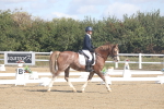 SBM_001542