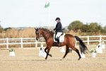 SBM_008643