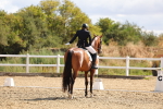 SBM_004098