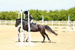 SBM_007342