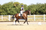 SBM_009377