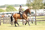 SBM_14860