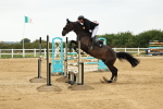 SBM_003731