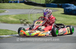 Karting_11-05-2014-3