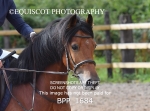 BPP_1684