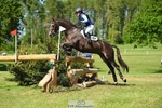 376-DIRECT_BALLYTARSNA_DUCAREL-Jodie_Amos-XC portfolio