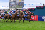250726-Race 1-Kodiac Thriller-6745