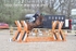 BPP_0338