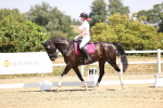 SBM_004060