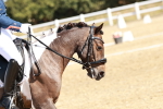 SBM_017056