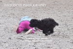 BPP_3060