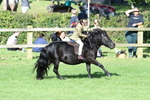 SBM_50323