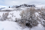 Lamar Valley
