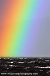 SCE008: Rainbow at Sea