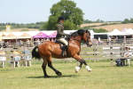 SBM_06928