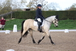 Unaffiliated Dressage portfolio