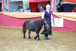 SBM_16093
