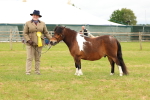 SBM_04403