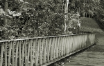 JamesGardens2310-9bw