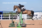 BPP_1455