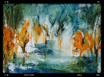 L 6  stream through the Forest