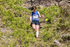 Coniston Junior-237