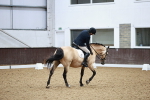 SBM_003935