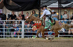 3HRodeo8-5-24_CFD_3HR-YUMA- 1348_