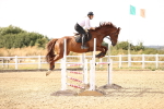 SBM_001736