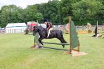 SBM_09451