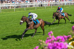 120725-Race 4-Al Qareem-5800