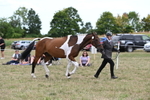 WJ6_6077