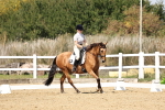 SBM_018639