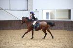 SBM_001238